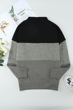 Color Block Half-Zip Collared Sweatshirt